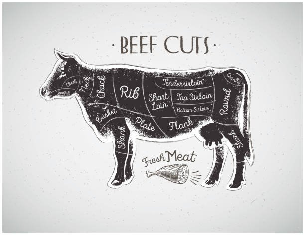 Graphic silhouette cow with the line of cutting for the butcher. Our products. 