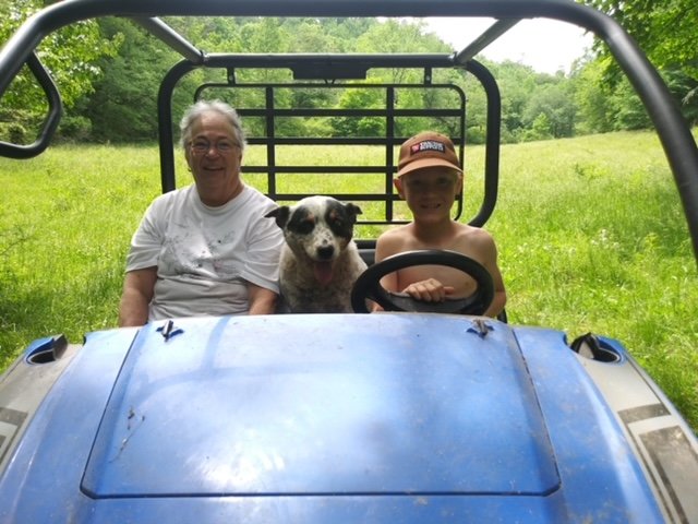 Dog at Cole Creek Farms in Benson, NC