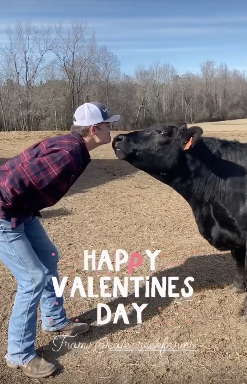 Cole Creek Farms Valentine's Day Kiss